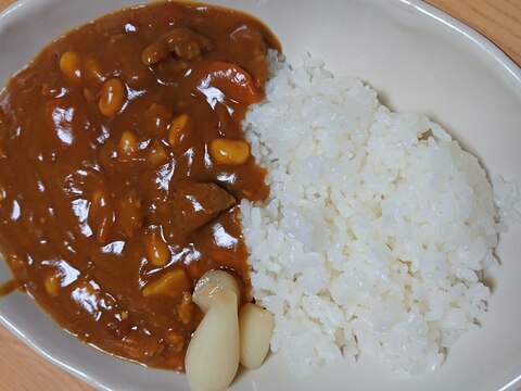 2種のお肉で節約カレー！